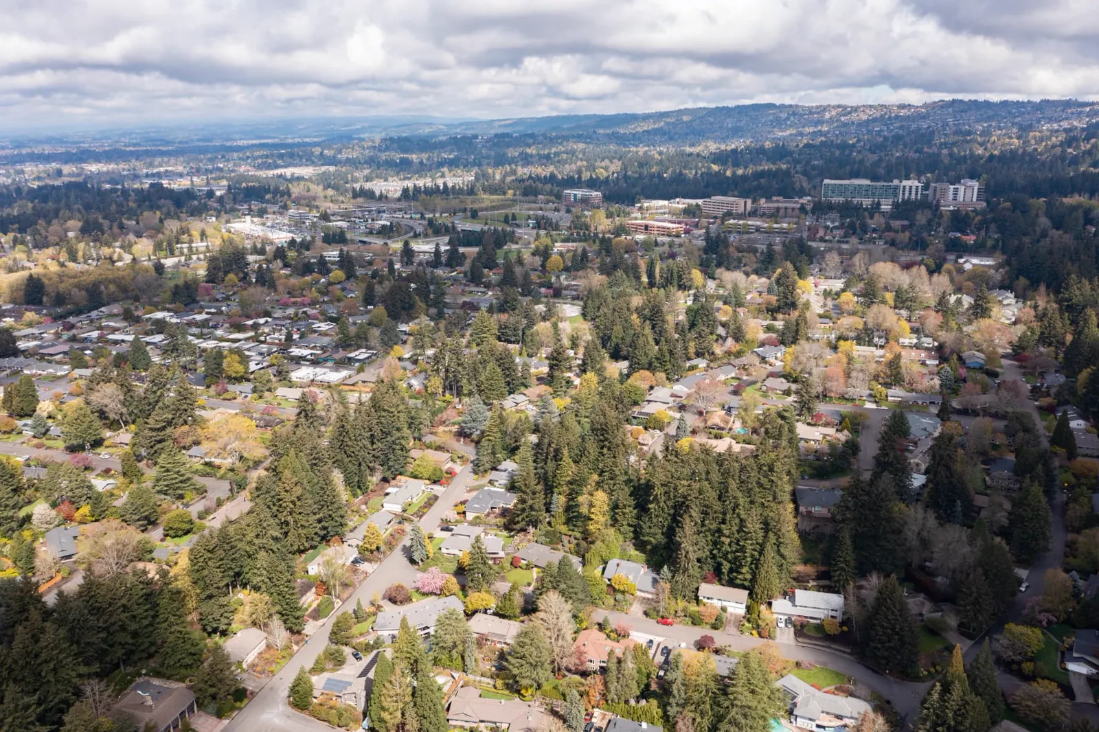 Aerial view of a tree-lined Pacific Northwest suburban neighborhood with office buildings and forested hills in the distance.
