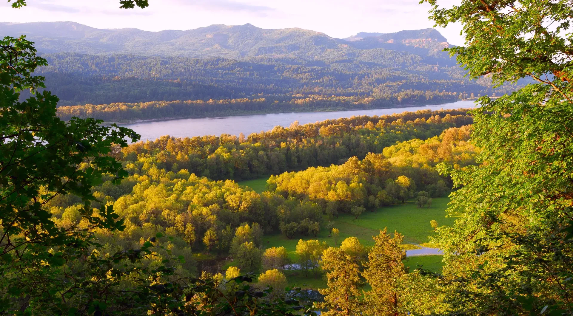 A View of a River with mountains on the opposite side - viewing from a copse of oak trees - colors of fall all around